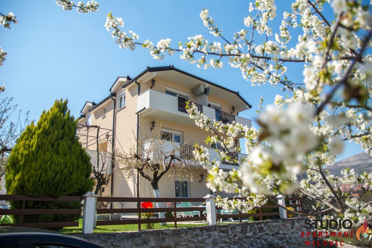 Studio Apartmani Milovic Trebinje Exterior foto